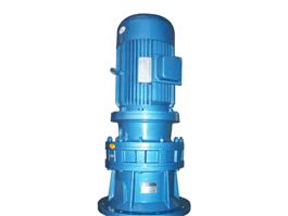 立式擺線針輪減速機(帶電機)